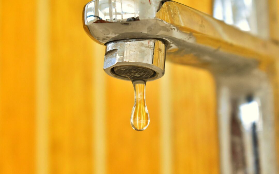 15 easy tips for saving water