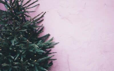 How to find Christmas tree recycling near you